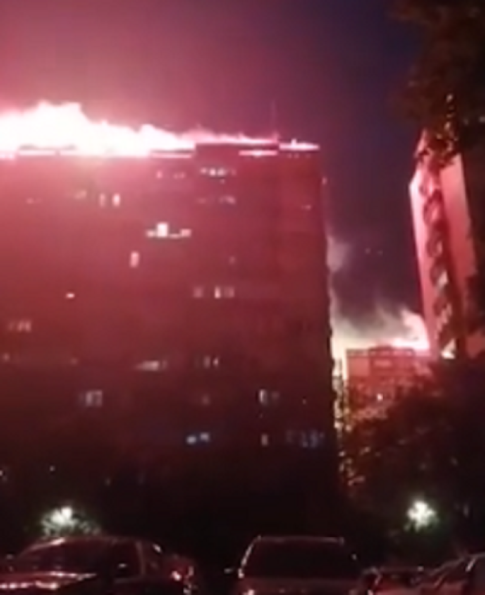 Zemunom se večeras orilo "Đilase lopove" (VIDEO)