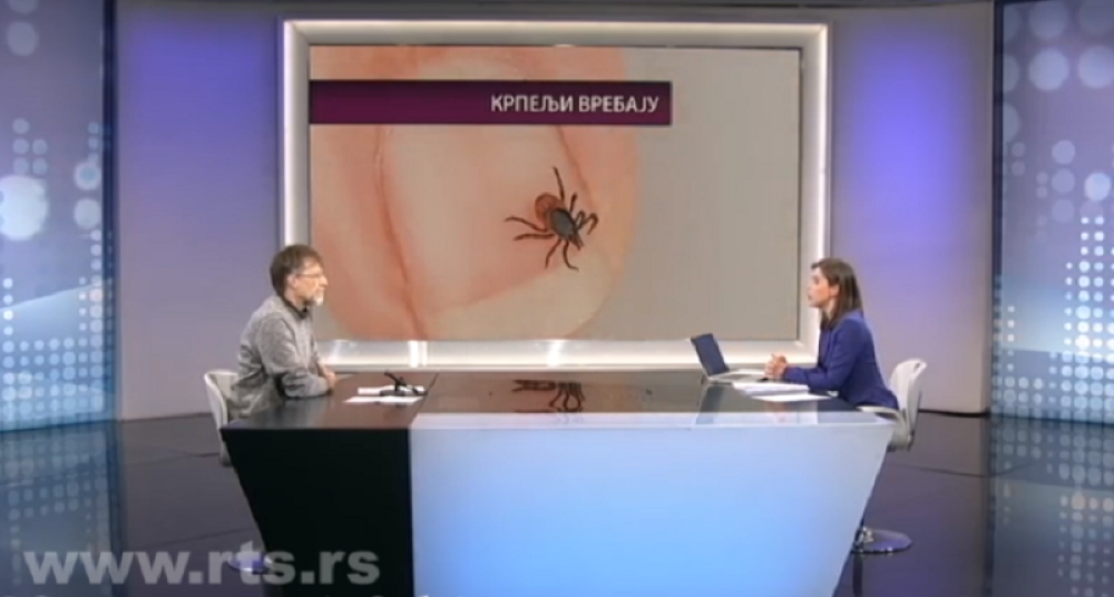 Veliki broj krpelja je zaražen, nemojte sami da ih vadite