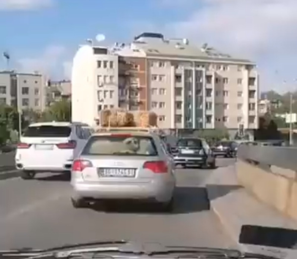 Nesvakidašnja scena na ulicama Beogradu... Da li je ovo moguće?! (VIDEO)