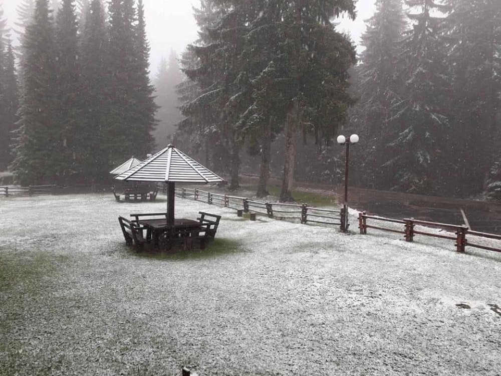 Već je zahvatio Sloveniju i Hrvatsku!