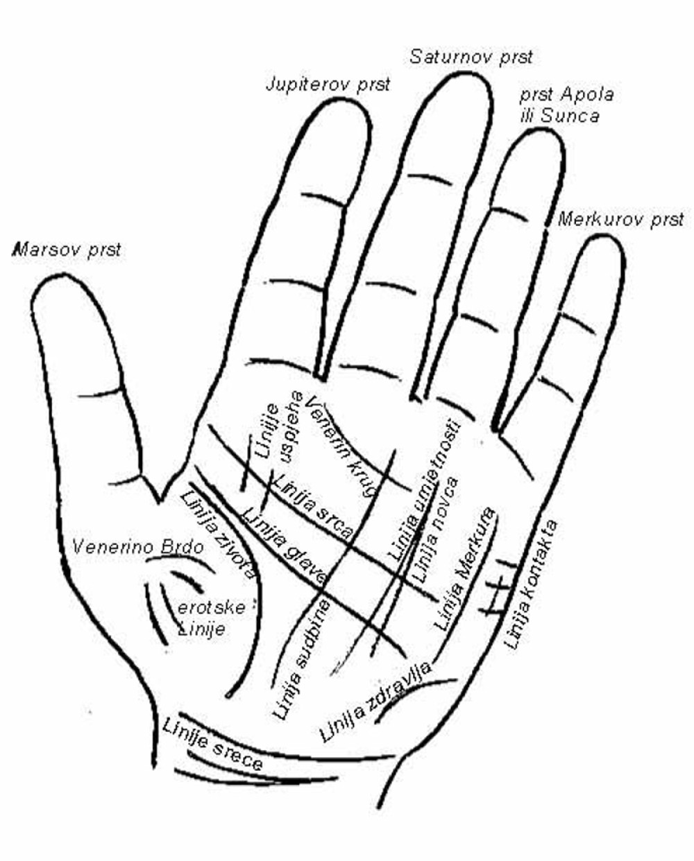 Sudbina je ispisana na dlanu: Svaki prst nosi novu istinu!