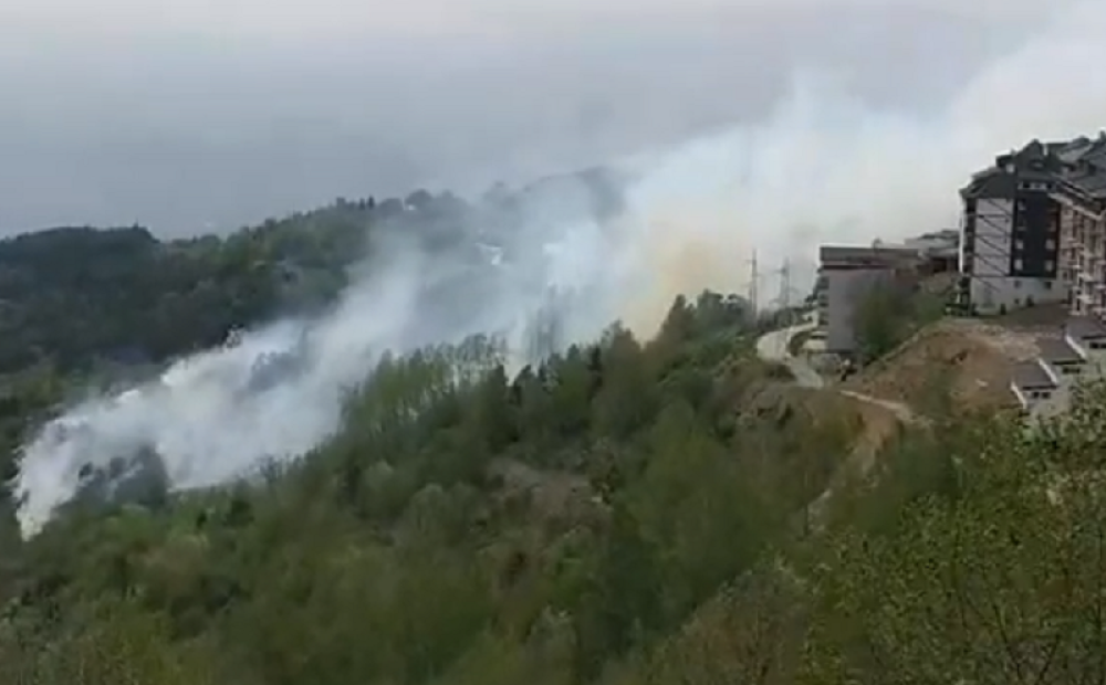 Besni veliki požar na Kopaoniku! (VIDEO)