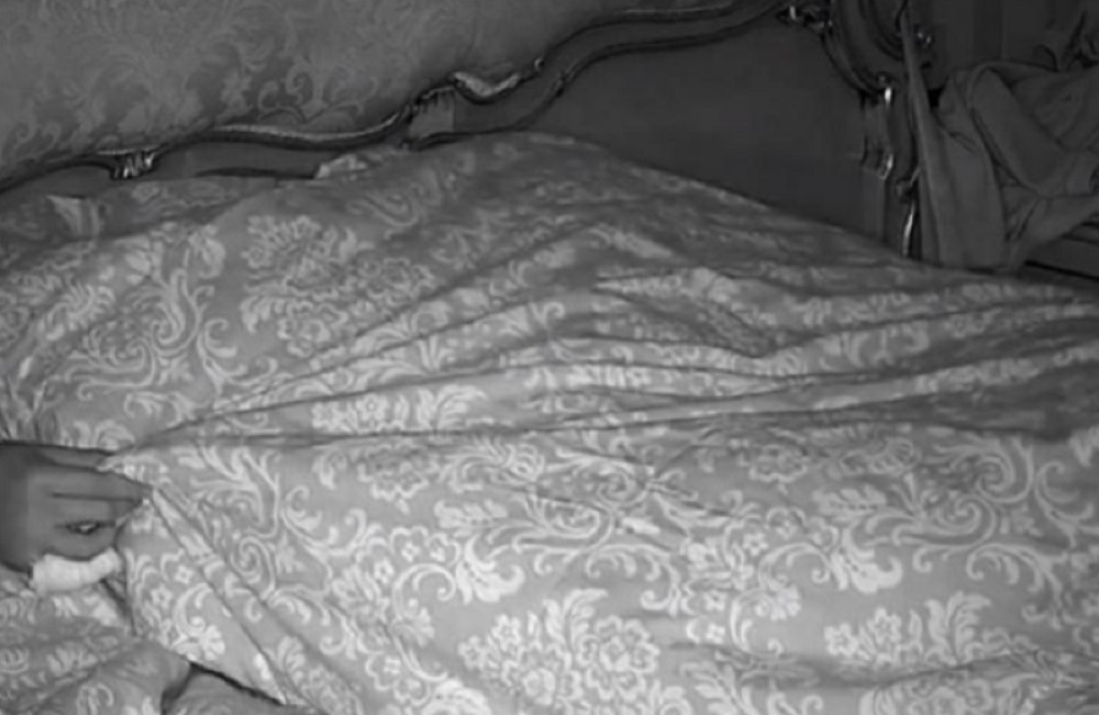 Majka dvoje dece u vreloj akciji vrištala od zadovoljstva: Zemunska vila se tresla!