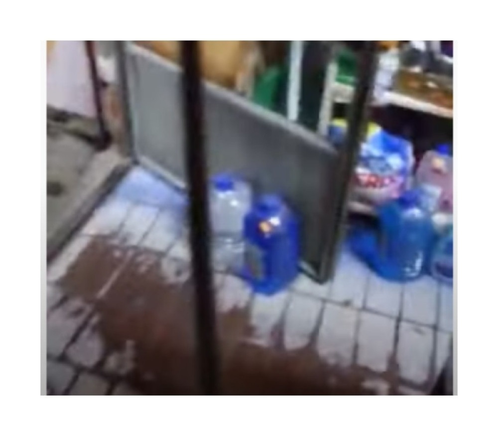 Pobegla džinovska zmija, vlasnik ne zna gde je otišla, službe češljaju svaki ćošak!