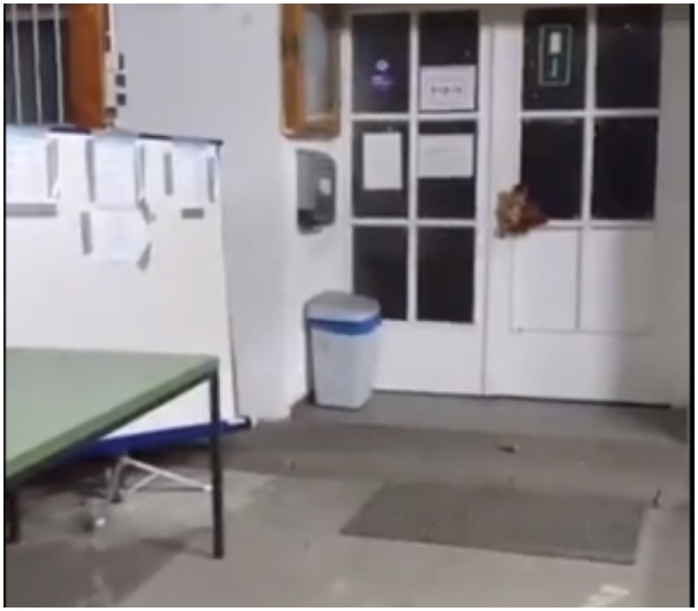 Nepoznate osobe na džamijskim vratima ostavili svinjsku glavu (VIDEO)