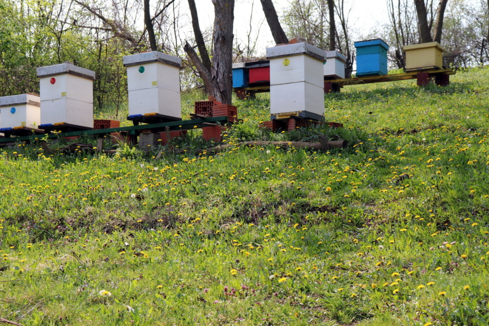 Uvezen je iz Ukrajine po ceni od samo 1,15 evra po kilogramu!