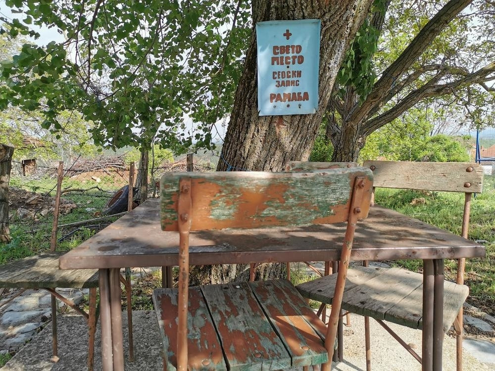 Ko ga poseče čeka ga Božja kazna, niko ne dira čak ni otpalu koru