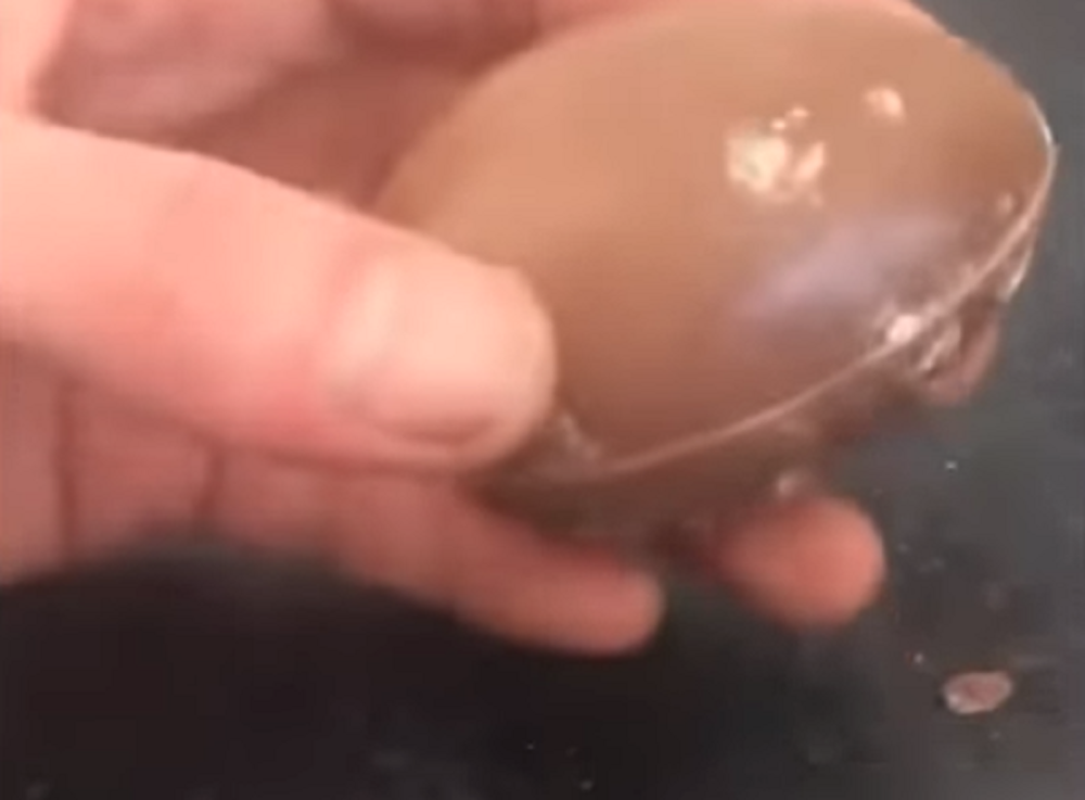 Unutra je sačekao prizor za gađenje, nije mogla da dođe sebi od horora (VIDEO)