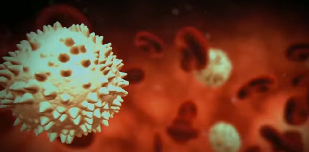 Manje šanse da obole od korone imaju ljudi ove krvne grupe