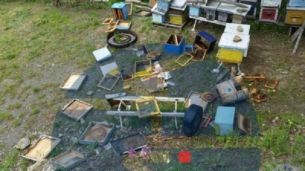 Mečka sa dva mečeta došla kod Budislava na ručak, koštala ga oko dve hiljade evra (FOTO)