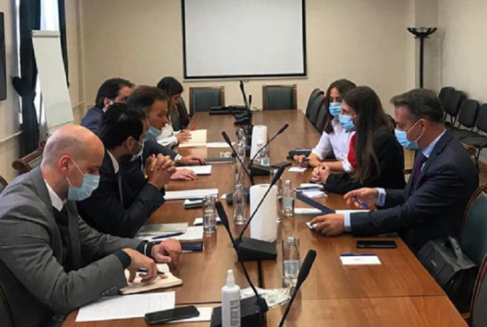 Srbija preduzela dobre mere u borbi sa virusom i njegovim posledicama