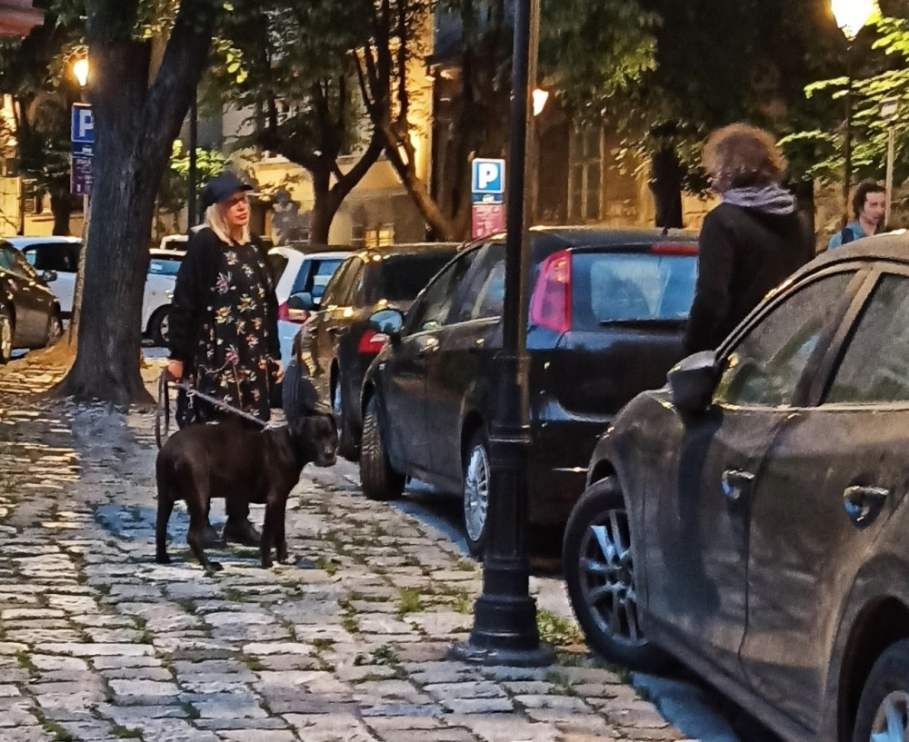 Nada Topčagić uslikana na ulicama Beograda, svi su joj prilazili, a onda usledilo ovo!