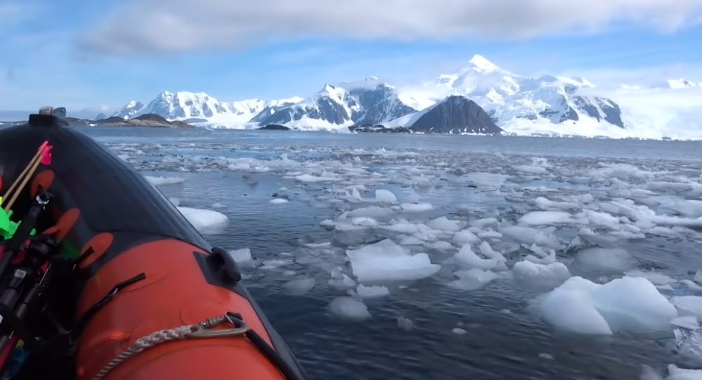 Virus dospeo i na Antarktik!