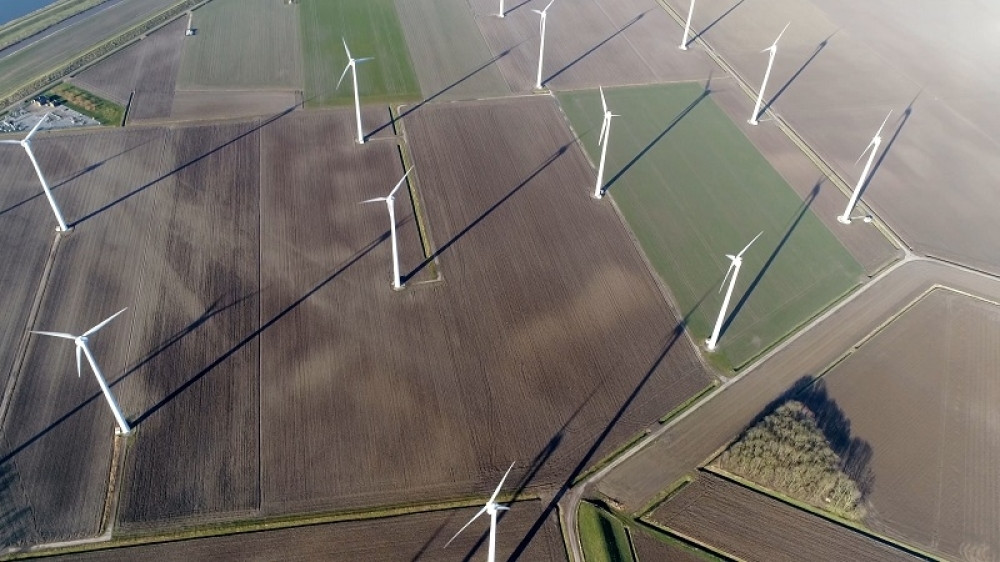 U Banatu leti sve - od crepa do kape!