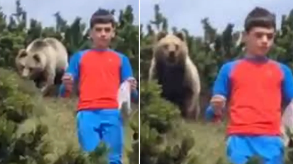 Dečak zamalo izbegao tragediju, svi se dive njegovoj hrabrosti! (FOTO)