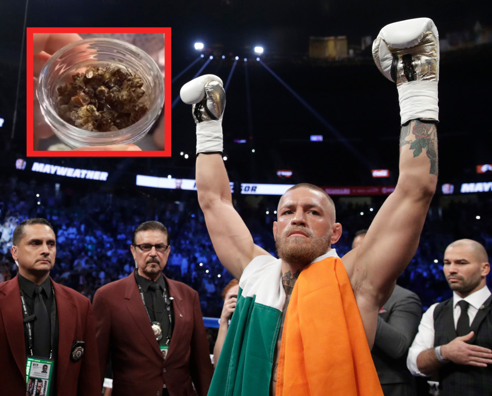 Mekgregor prešao igricu - užinao teglu pčela (VIDEO)