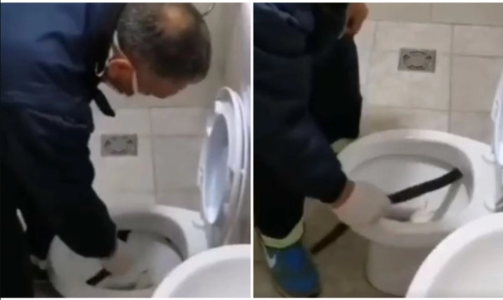 Crnogorka zasela na WC šolju, a iz nje isplivala strašna neman! (VIDEO)