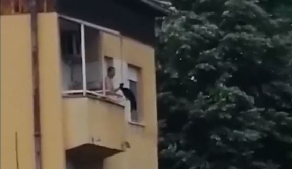 Komšije sve zabeležile! Muškarac mučio mačku, zaklao je, pa bacio sa terase (VIDEO)