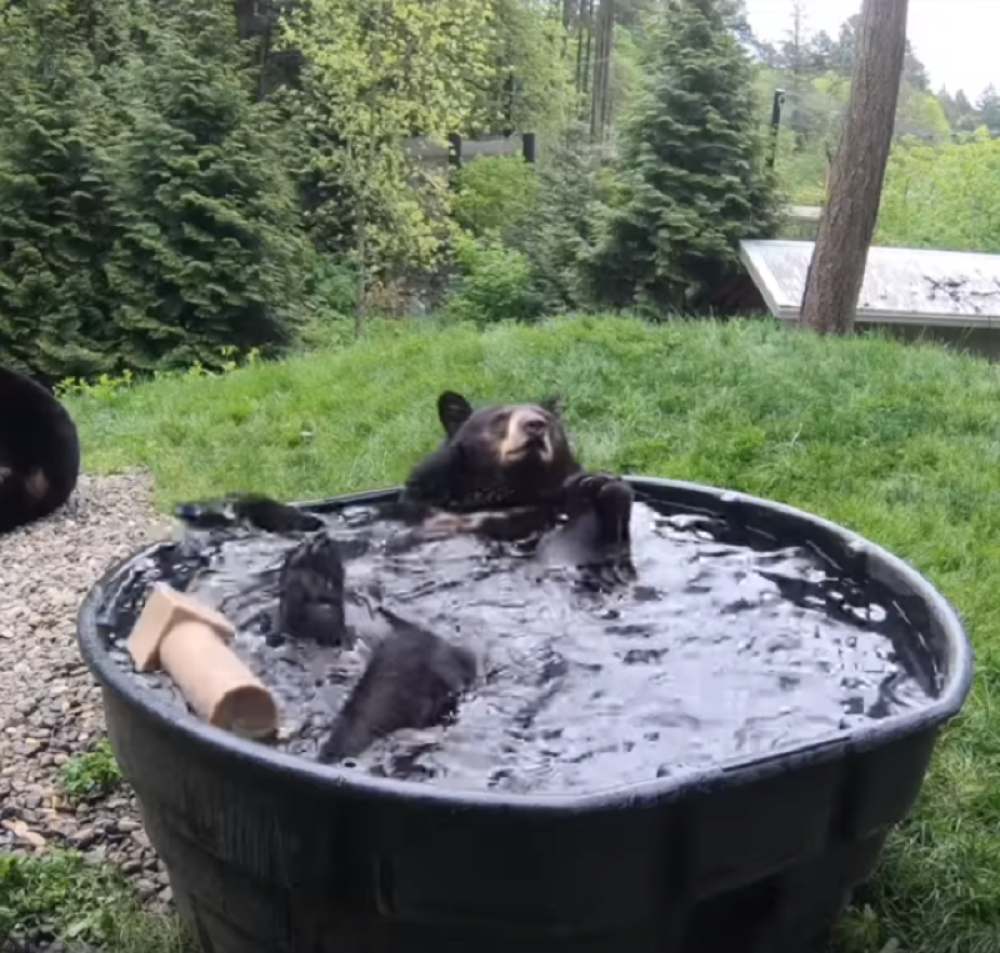 Nije mogao da sakrije oduševljenje, pogledajte šta je uradio (VIDEO)