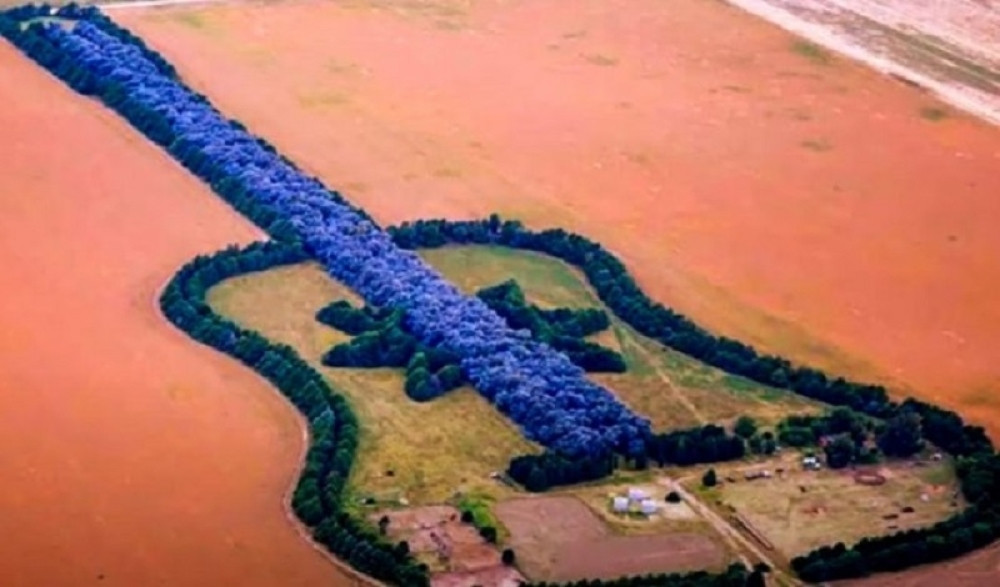Šuma u obliku gitare krije u sebi tužnu ljubavnu priču (FOTO/VIDEO)