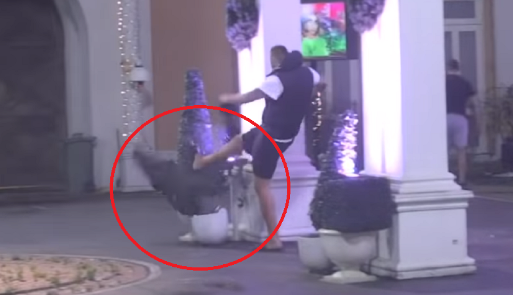 Janjuš napustio Belu kuću pa lomio sve pred sobom na imanju! (VIDEO)