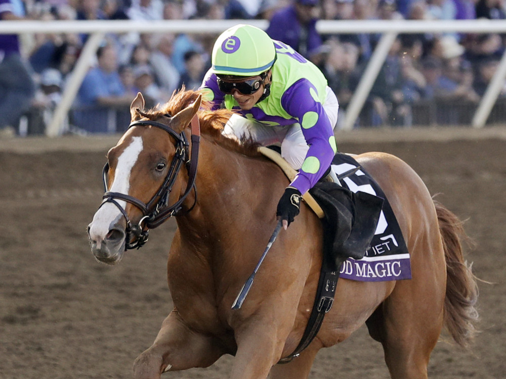 Svirepo ubistvo šampiona, oglasio se njegov trener: "Kakva nemoć, Bože moj!" (FOTO)