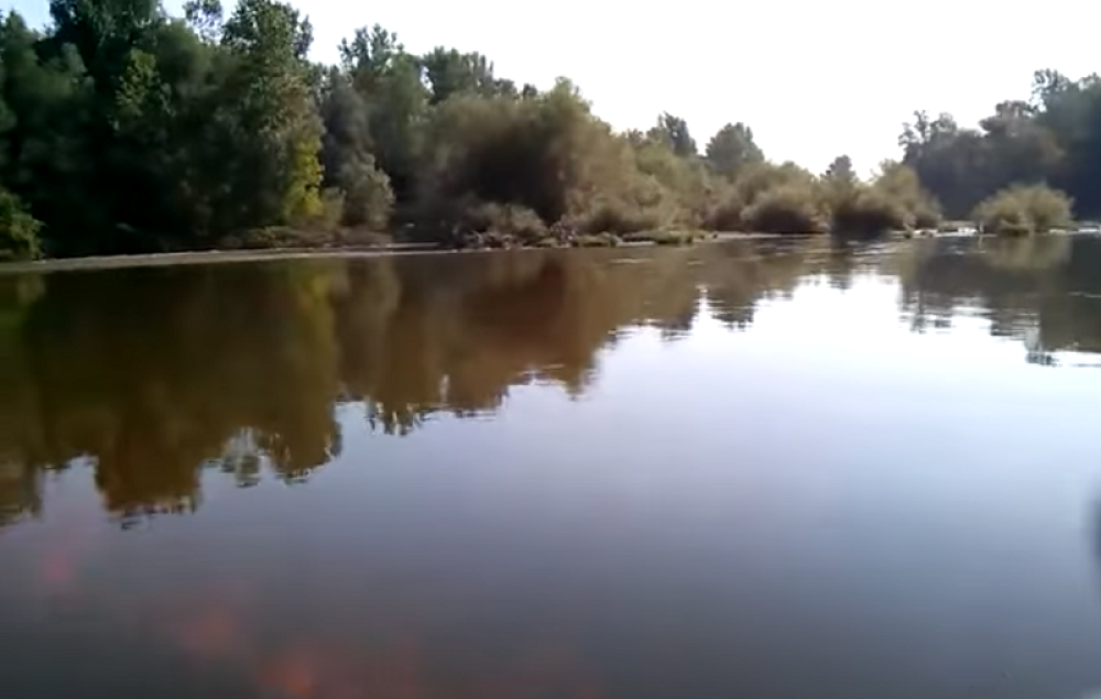 20 godina se krio u mutnoj vodi, Musa mu presudio, meštani u strahu da kroče u reku!