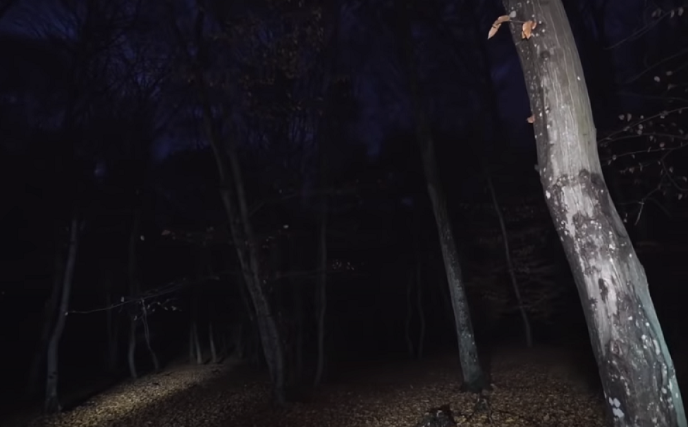 Otkriveno najjezivije mesto na svetu - čudni događaji, nestanak ljudi, čist horor! (FOTO/VIDEO)