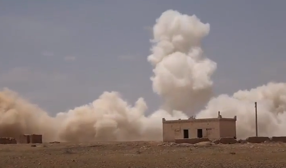 Probuđeni "spavači" preplašeni beže u središte vrele pustinje (FOTO/VIDEO)