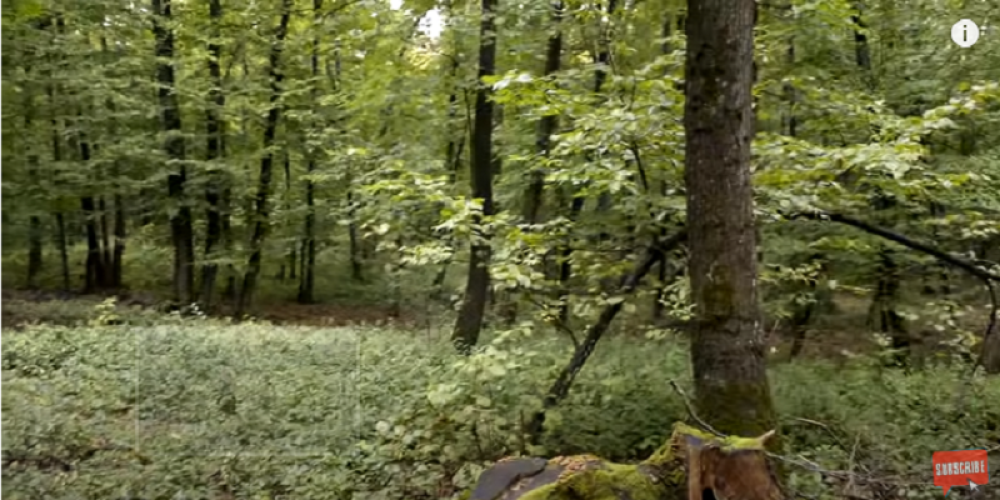 Nemilosrdne ubice političara i visokih funkcionera, njihovo ime se ne izgovara!