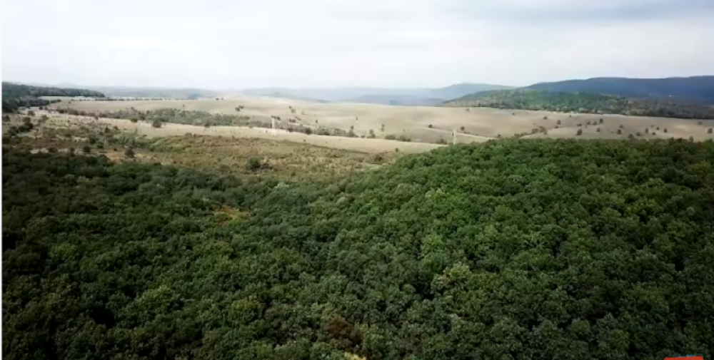 Grof Drakula je jedini mogao da se šeta ukletom šumom (VIDEO)