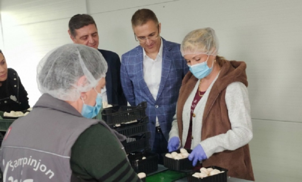 Stefanović: Nastavićemo da unapređujemo infrastrukturu u Barajevu