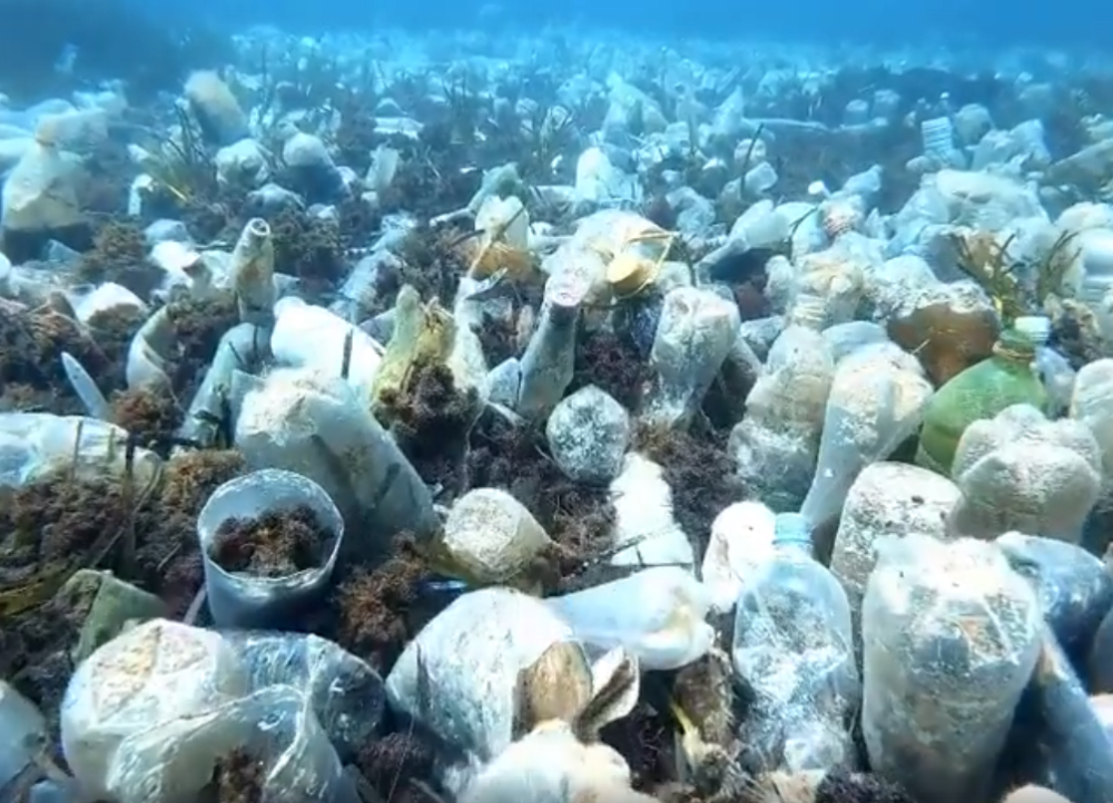 Pogledajte koliko je zagađeno more u Konavlima (VIDEO)