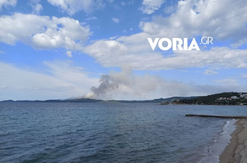 Vatrogasci pokušavaju da ugase stihiju sa kopna i mora (FOTO/VIDEO)