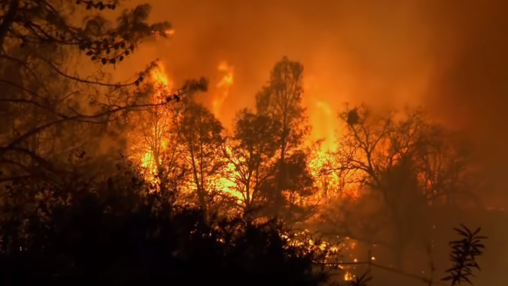 Izazvali požar i ubili 85 ljudi