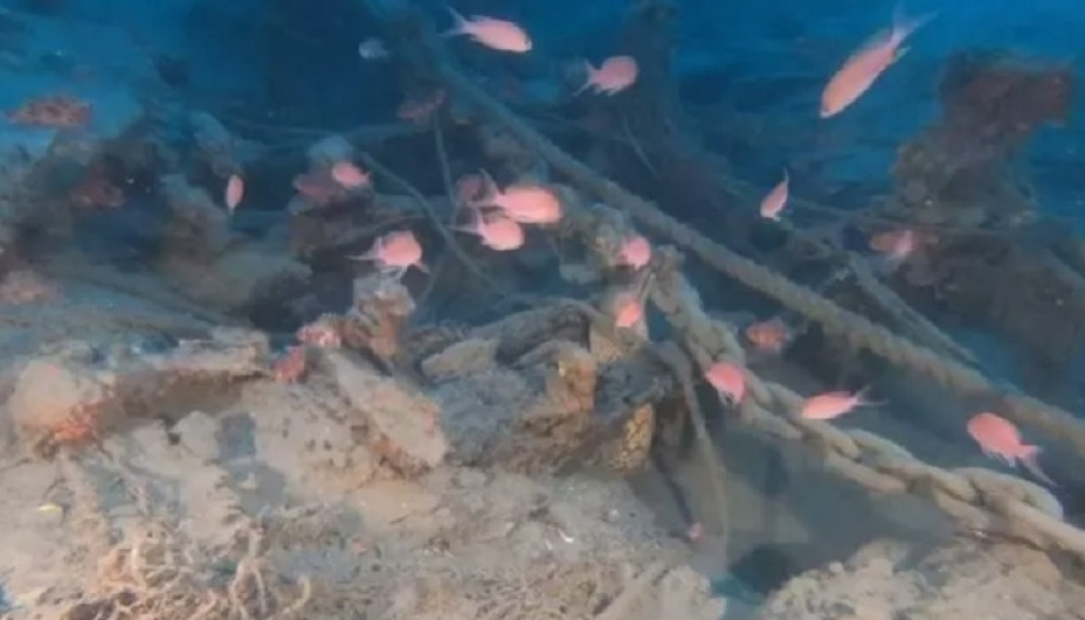 Ronioci nisu ni sanjali da će nešto poput ovoga "uloviti", istorija je ispisana! (FOTO)