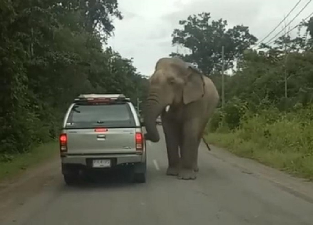 Mislili su da je prijateljski nastrojen, a on im razneo automobil (VIDEO)