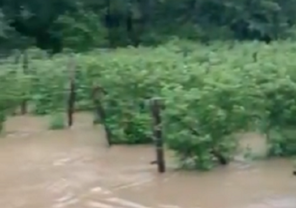 Izlila se Moravica, u deset mesta vanredna situacija, na stotine domaćinstava u opasnosti (VIDEO)