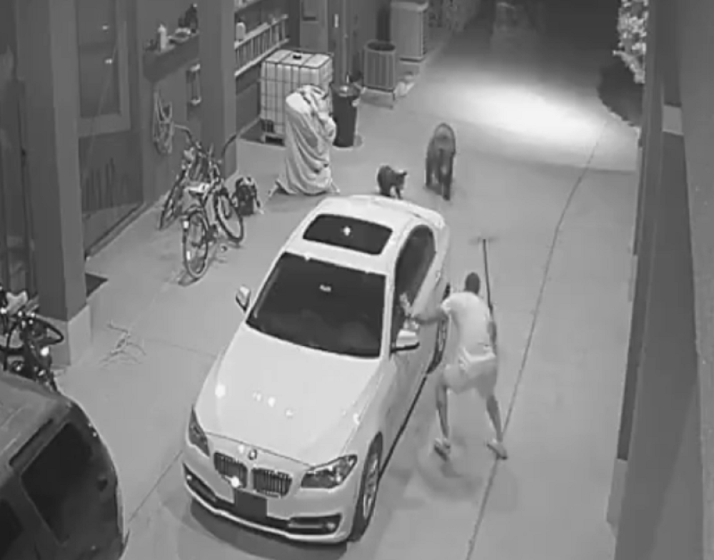 Fudbaler nasred ulice naleteo na medvede - sledi beg za spas života (VIDEO)