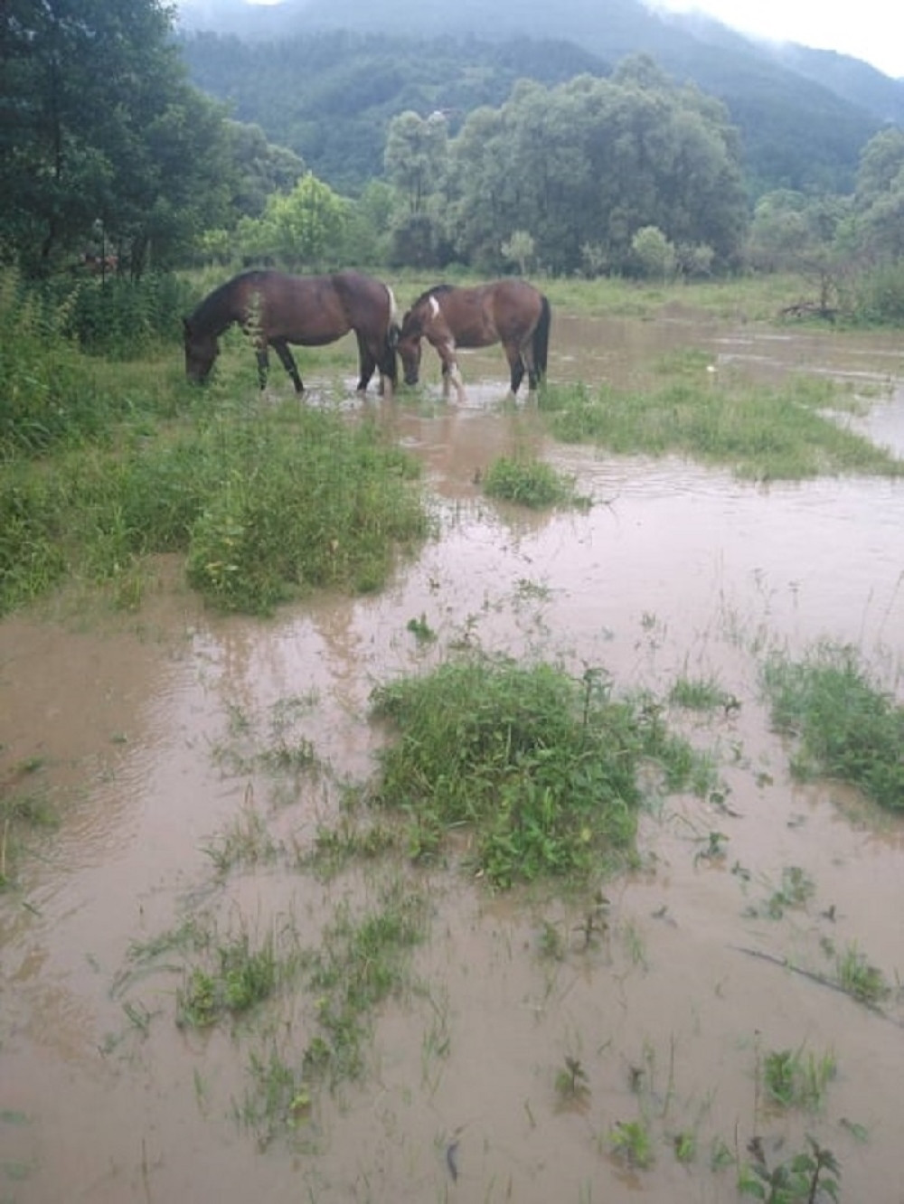 Deo građan Bugarske optužuje vlast da je kriva zbog POPLAVA
