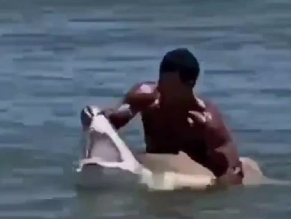 Osim njega! Mrtav hladan je uradio nešto o čemu priča ceo svet! (VIDEO)