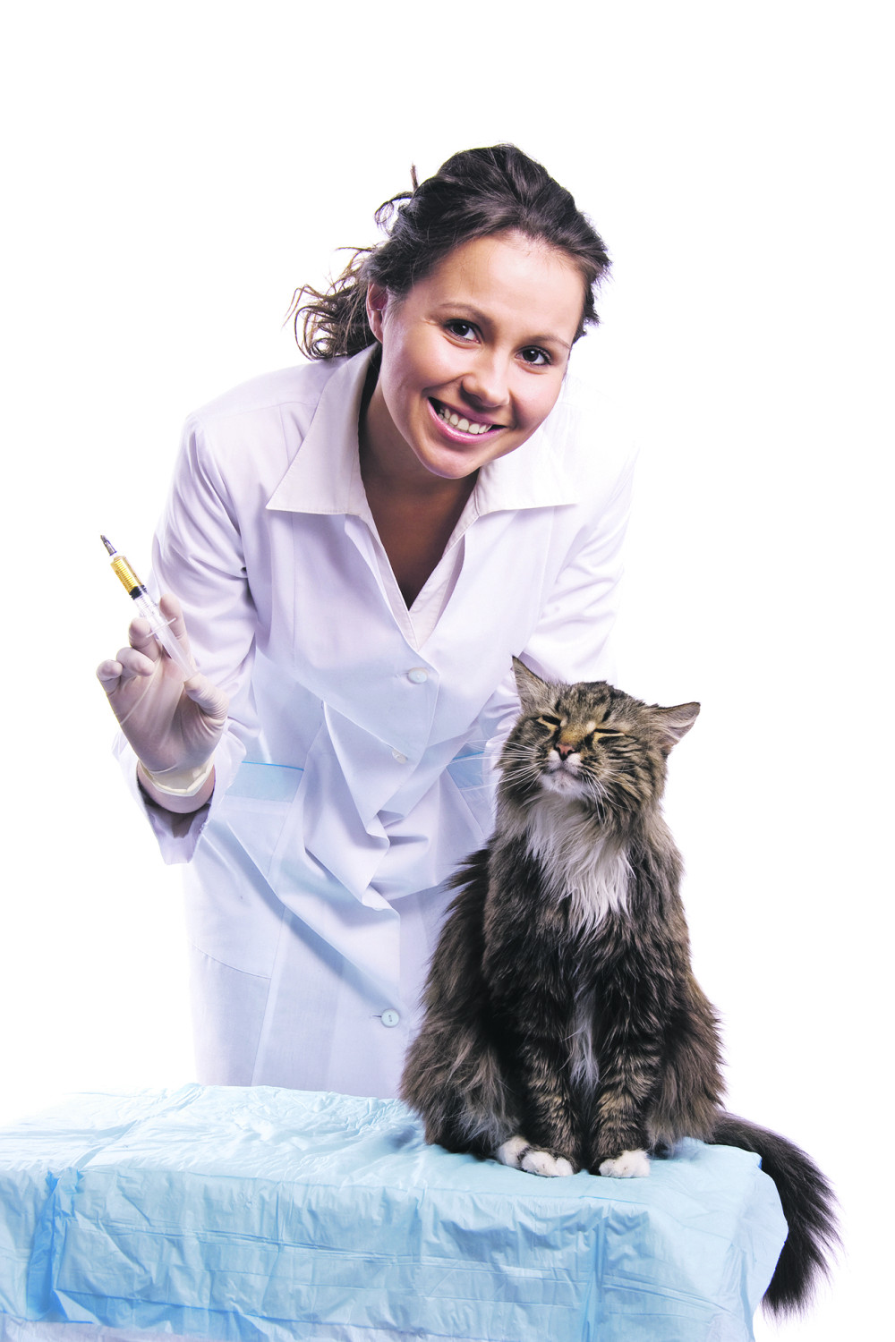 Vakcinišite macu i produžite joj život!