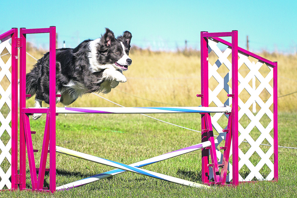 Rase najboljih sportista