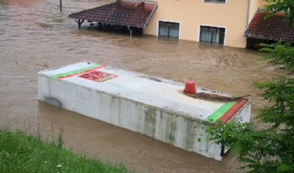 Hit priča iz Kraljeva! Kako se jedan vepar spasao vodene bujice