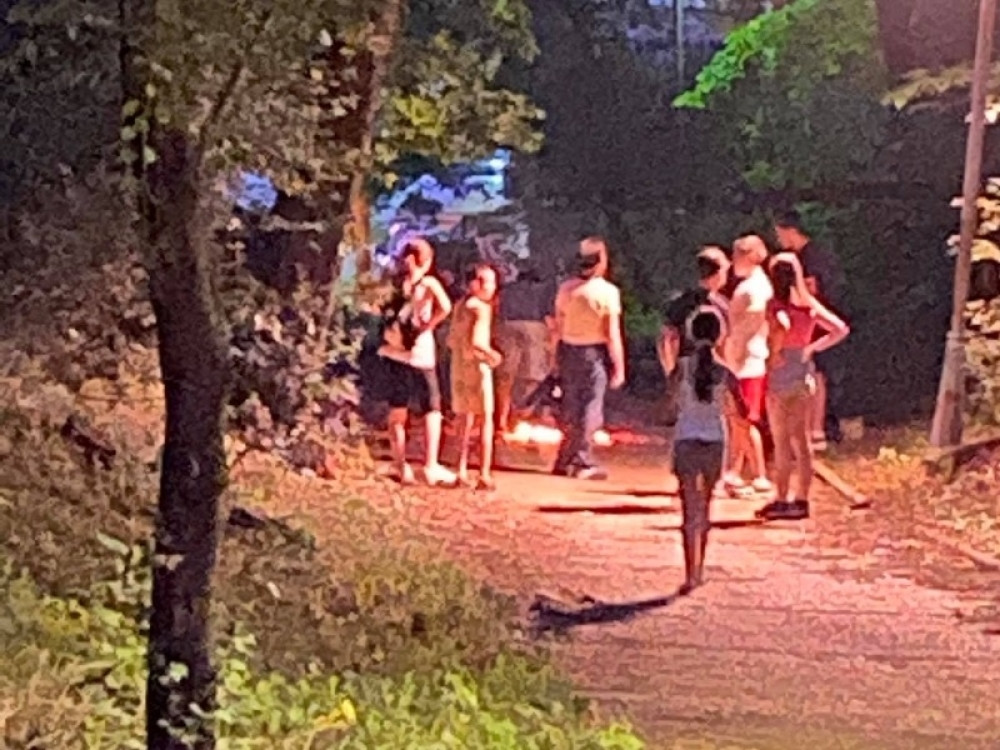 Još jedna sumanuta igra postala "trend":  Deca pale vatru nasred šume, bosih nogu skaču po plamenu dok... (FOTO)