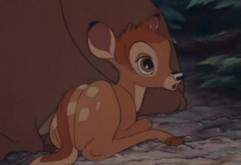 Jedan od najtežih slučajeva krivolova u istoriji, a kazna - gledanje "Bambija"