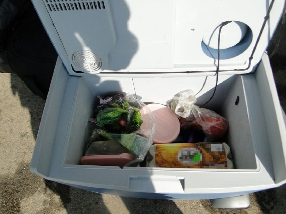 Carinici na Gradini otvorili ručni frižider, a kada su otkrili šta je u zelenoj salati...