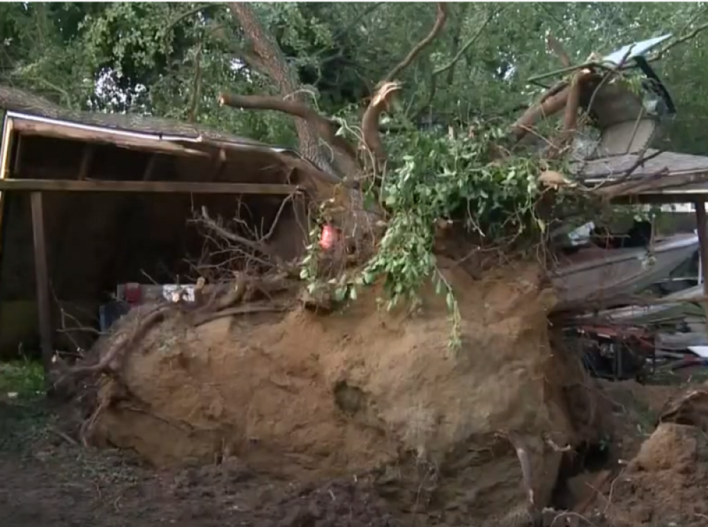 Oluja srušila stablo, ono zdrobilo garažu u kojoj su bili ljudi i i deca (VIDEO)
