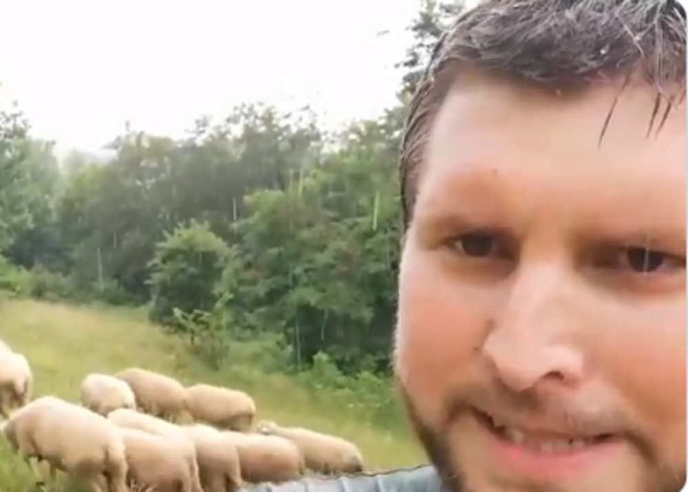 Kosta čuvao ovce, a onda je naprasno počeo pljusak, usledila je neočekivana izjava koja je nasmejala mnoge (VIDEO)