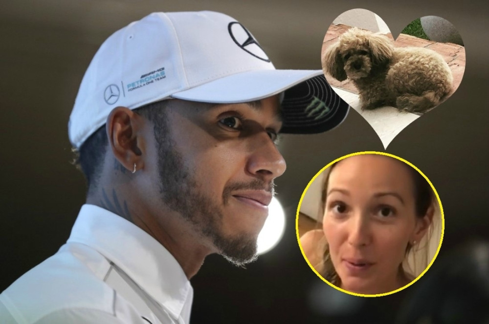 Hamilton ubija svog psa, da li je od istog razloga preminuo i Tesla Đoković?! (FOTO/VIDEO)